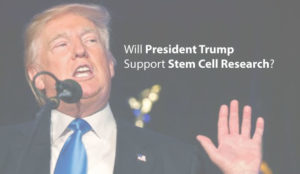 will-president-trump-support-stem-cell-research