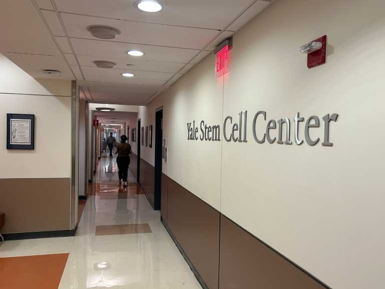 Yale Stem Cell Center CT
