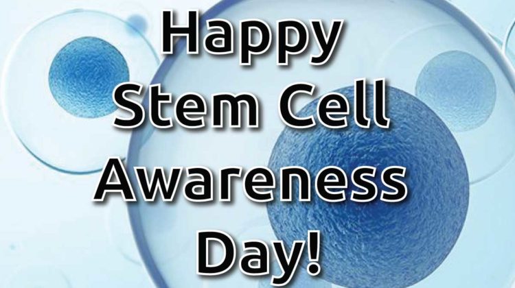 Happy Stem Cell Awareness Day
